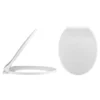 Carlton Soft Close Toilet Seat