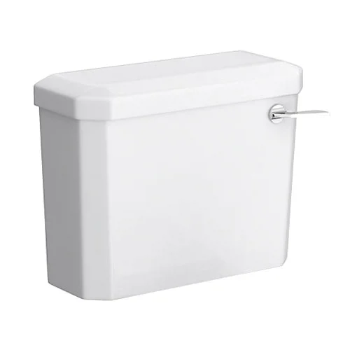 Premier Carlton Cistern + Chrome Lever