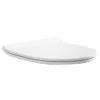 Orion Slimline Toilet Seat Upgrade