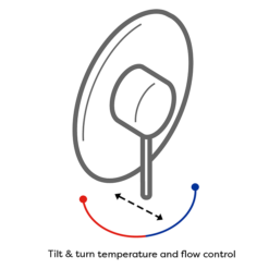 Trafalgar Traditional Gold Concealed Manual Shower Valve